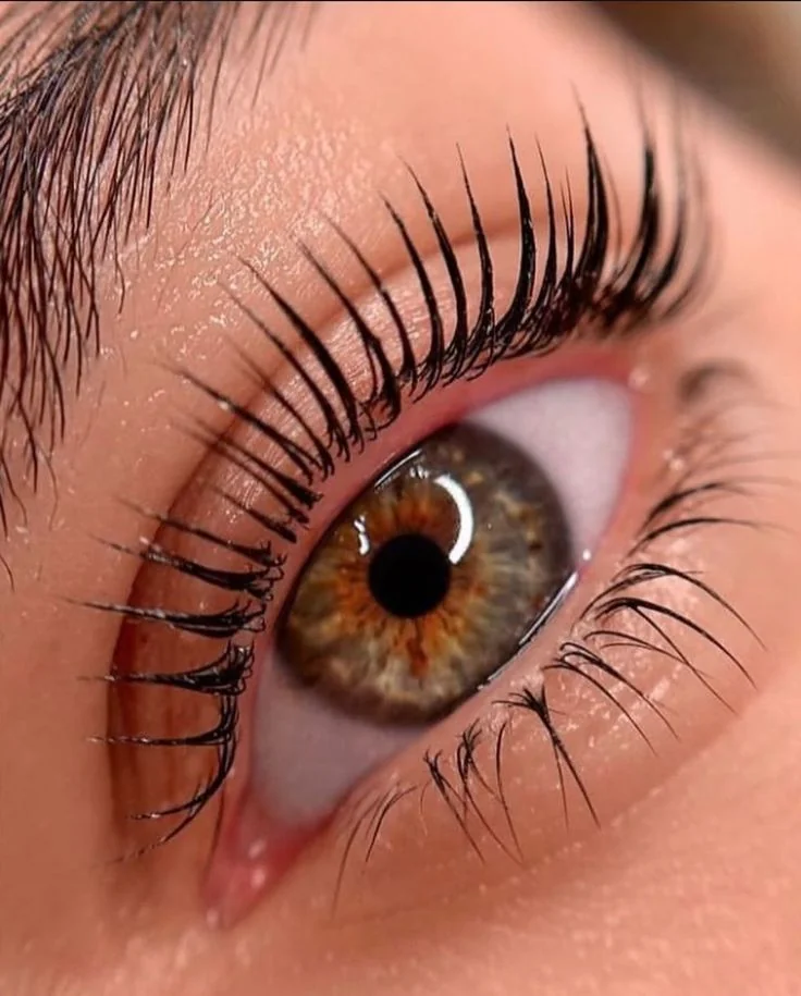 Lash Lift & Tint at FACE Weybridge